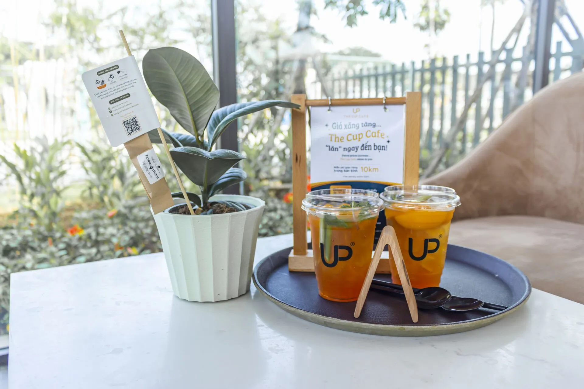 The Cup Cafe